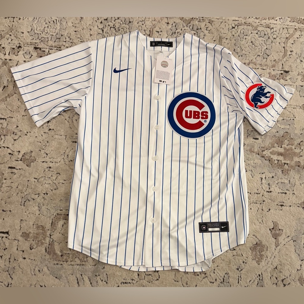 Nike Authentic Pinstripe Chicago Cubs Greg Maddux #31 Baseball Jersey Men’s Sz M - Picture 2 of 7